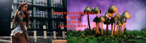 ECSTASY Бугульма