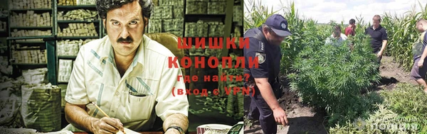 ECSTASY Бугульма