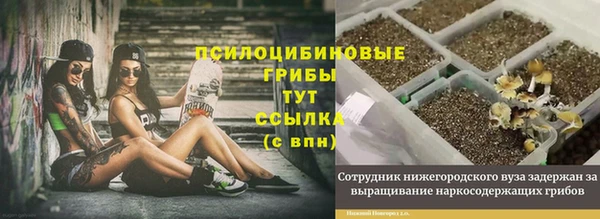 спайс Бородино